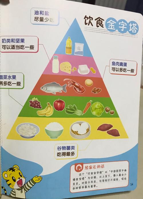 黃色營養包括了碳水化合物和脂肪類食品.