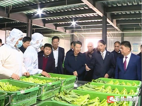 五華一農產品冷鏈倉儲物流園凈菜加工廠投產