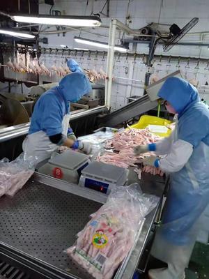山東德州武城縣36家企業(yè)復工復產(chǎn)