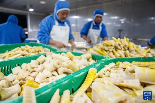 土特產 助力三湘農業煥發新活力