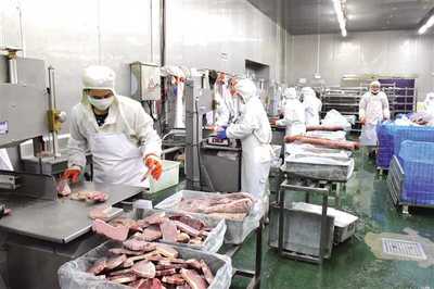 構(gòu)建“三大體系”打通發(fā)展瓶頸 豐都 “三步走”探索食品及農(nóng)產(chǎn)品加工高質(zhì)量發(fā)展新路徑
