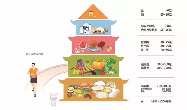 合理膳食 健康中國