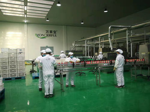 哈新區平房片區食品 醫藥等民生類工廠陸續恢復生產