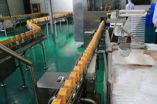 松江這家年銷售額超過50億元的食品工廠,你知道嗎