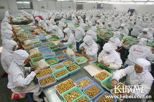 遵化食品產業進軍歐洲 擬在羅馬尼亞建廠