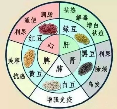 中醫(yī)提醒:藥補(bǔ)不如食補(bǔ),吃五色食物養(yǎng)五臟,一年少生病