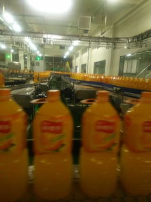 在妙脆角 樂事薯片 巧克力 餅干等食品類加工廠上班是怎樣的體驗