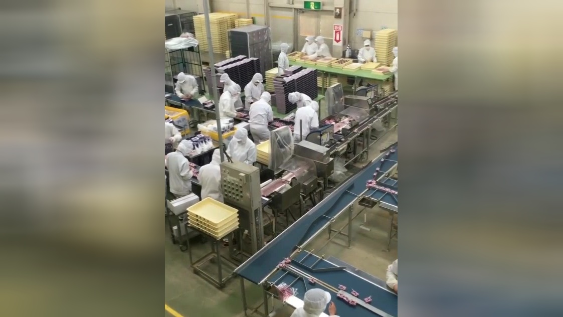 實拍日本食品工廠,超級干凈衛生現代感足!日本產品就是用得放心