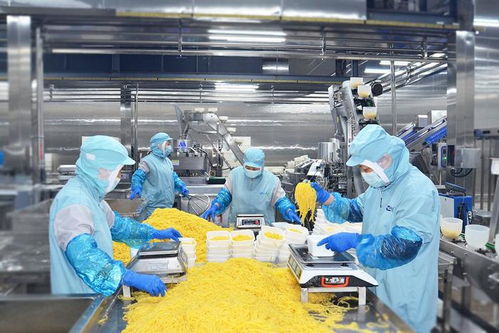 萬億級魔芋賽道激戰正酣 山東民安食品憑啥成為500 品牌的 隱形冠軍