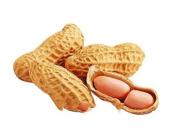 鎮賚特產綠色食品花生